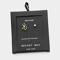 Secret Box _ CZ Zodiac Sign Sagittarius Stud Earrings