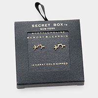 Secret Box _ 14K Gold Dipped Acetylcholine Hormone Molecule Earrings