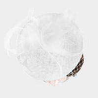 Rosette Feather Mesh Fascinator / Headband