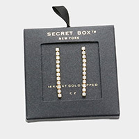 Secret Box _ 14K Gold Dipped CZ Linear Dangle Earrings
