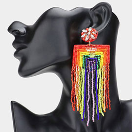 Rainbow Beaded Tassel Fringe Dangle Earrings