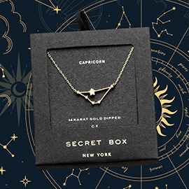 Secret Box _ 14K Gold Dipped CZ Capricorn Zodiac Sign Pendant Necklace
