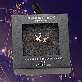 Secret Box _ 14k Gold Dipped CZ Zodiac Sign Aquarius Ring