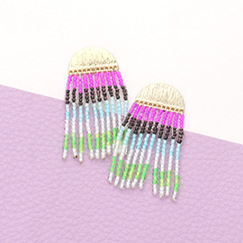 Colorful Seed Bead Fringe Dangle Earrings