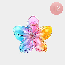 12PCS - Ombre Lucite Flower Claw Hair Clips