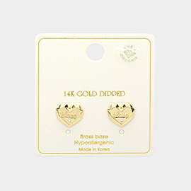 14K Gold Dipped LOVE Message CZ Stone Paved Stud Earrings
